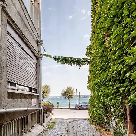 公寓 Luxury Seaside With Bosphorus View In Sariyer 伊斯坦布尔